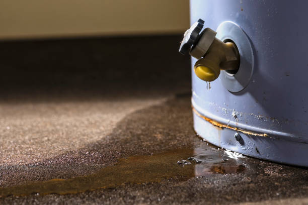 Best Local water damage restoration  in Murray, UT