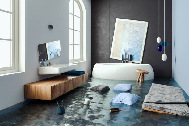 Best Carpet water damage restoration  in Murray, UT