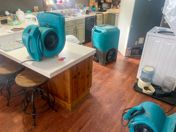 Best Flood damage cleanup  in Murray, UT