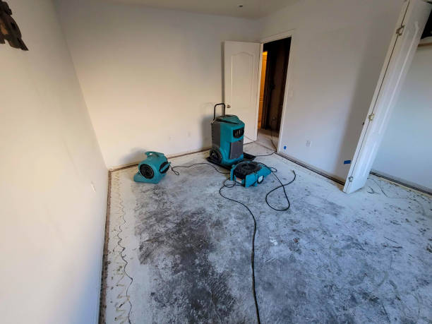 Best 24-hour water damage restoration  in Murray, UT