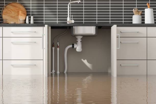 Best Commercial water damage restoration  in Murray, UT