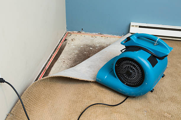 Best Fire Damage Restoration  in Murray, UT